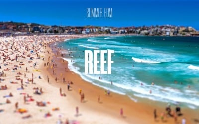 Ocean Beauty / Zomer EDM Rif