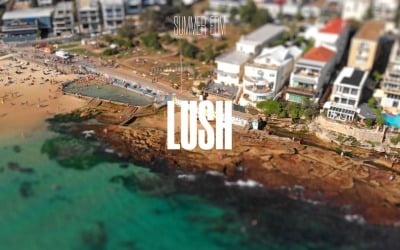 Dense Vegetation / Summer EDM Lush