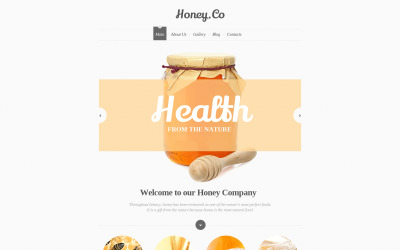 Plantilla de sitio web adaptable de Honey Store