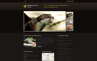 Premium Moto CMS HTML-mall #46113