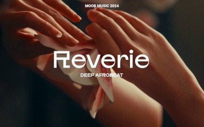Gentle Misfortune / Deep Afrobeat Reverie