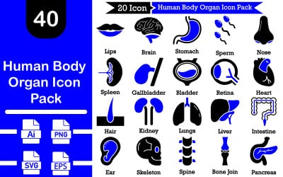 Human Body Organ Icon Pack
