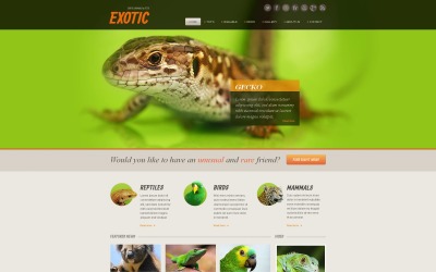 Premium Moto CMS HTML-mall #46308