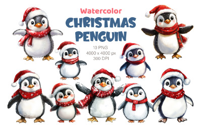 Christmas Penguin. Watercolor PNG.