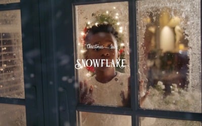 Falling Gently From Sky / Snowflake