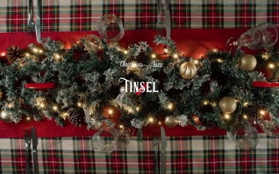 Shimmering Light Reflects / Tinsel