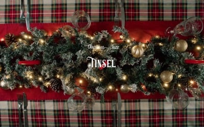 Shiny Strand Decorates Tree / Tinsel