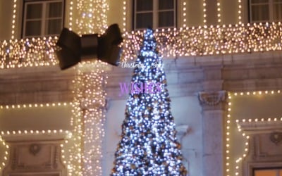 Festive Magic Surrounds Us / Wishes