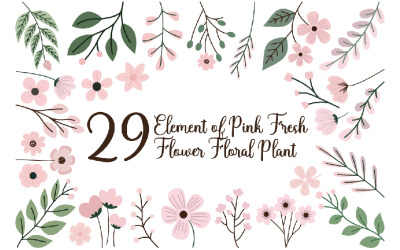 29 element av rosa färsk blomma växt