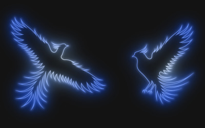 A neon outline of blue light phoenix with wings, isolated on the black background