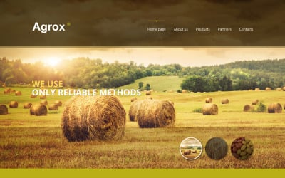 Modello di sito Web responsive per fattoria