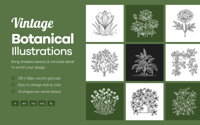 Coffret d&amp;#39;illustrations florales et botaniques