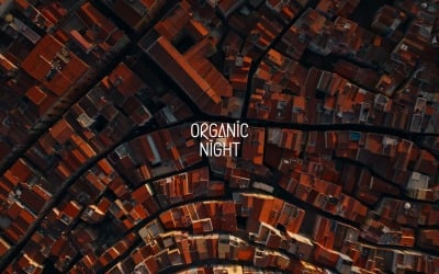 Crisp No Excess / Organic Night