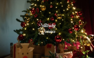 Journals Hide Tender Hopes / Nutcracker Romance