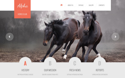 Plantilla Web Responsive para Sitio de Caballos #46921