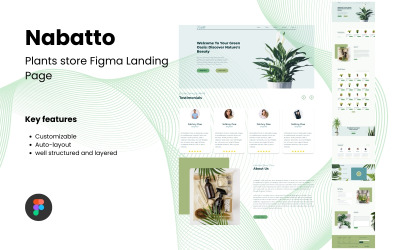 Nabatto - Página de inicio de Figma de la tienda de plantas