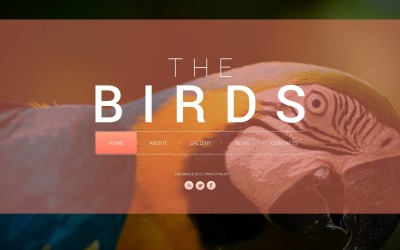 Birds Moto CMS HTML sablon