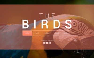 Birds Moto CMS HTML Template
