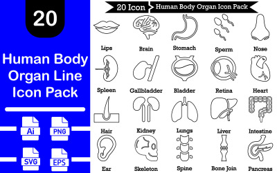 Pacchetto icone linea organi corpo umano