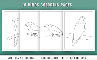 10 Birds coloring book pages for kids