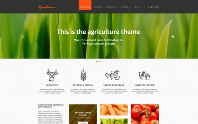 Fruktresponsiv webbplatsmall