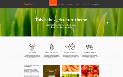 Obst Responsive Website-Vorlage
