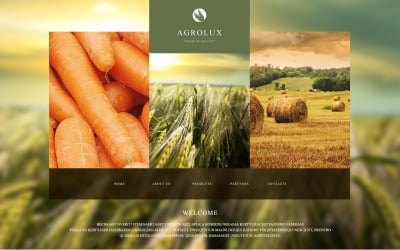 Plantilla de sitio web adaptable a la granja