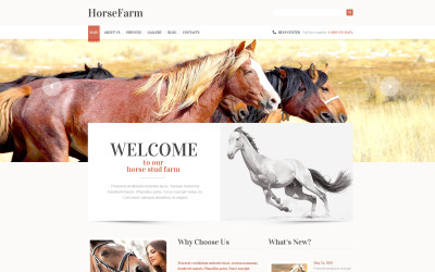 Reszponzív Promotion of Horse Farms WordPress sablon 47403