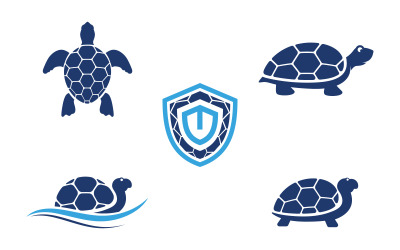 Turtle animal cartoon icon vector illustration design template v.3