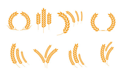 Agriculture wheat vector icon design