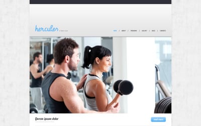 Responsives WordPress-Theme für Fitness