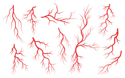 Conceito de hospital médico saudável Veias e artérias humanas ícone ilustração design modelo