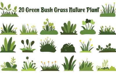 20 Green Bush Grass Nature Plant