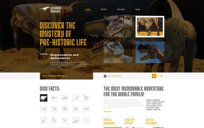 Discovering the Unknown Tema WordPress №47786