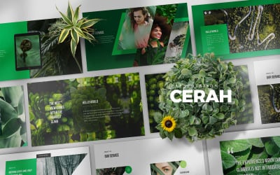 Cerah 主题演讲