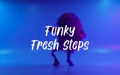 Fresh And Funky / Funky Fresh Steps