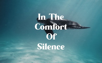 Silent Reflection Heals / In The Comfort Of Silence