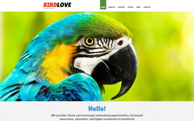 Modelo Joomla responsivo para pássaros