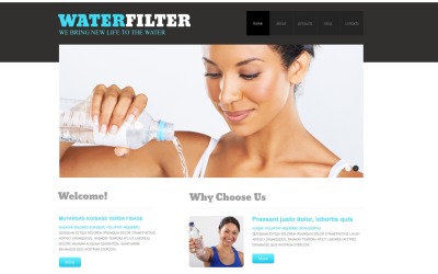 Responsive WordPress thema over Water №47940