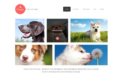 Reszponzív Kutyák témakörű WordPress sablon 47998