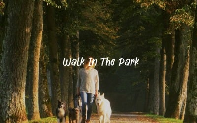 Step By Step Forward / Walk In The Park