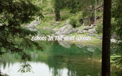 Ліс говорить правду / Відлуння в тихих лісах