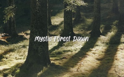 Nous marchons à travers la brume / L&amp;#39;aube de la forêt mystique