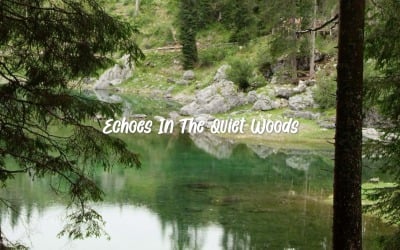 Wander And Be Still / Echoes In The Quiet Woods