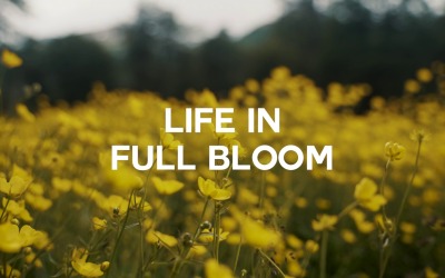 Пелюстки зберігають наші мрії / Життя в повному розквіті