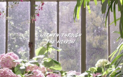 Lascia entrare il calore / Calore attraverso la finestra