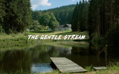 Im Fluss der Ströme / Der sanfte Strom