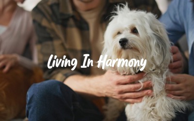 L&amp;#39;equilibrio genera pace / Vivere in armonia