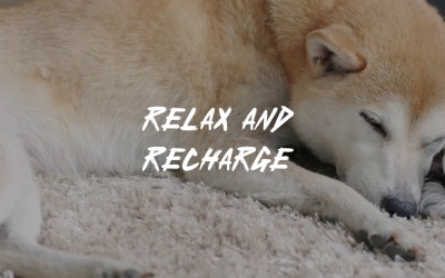 Lets Slow Down / Relax And Recharge