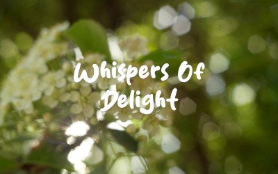 Слухайте Soft Happiness / Whispers Of Delight